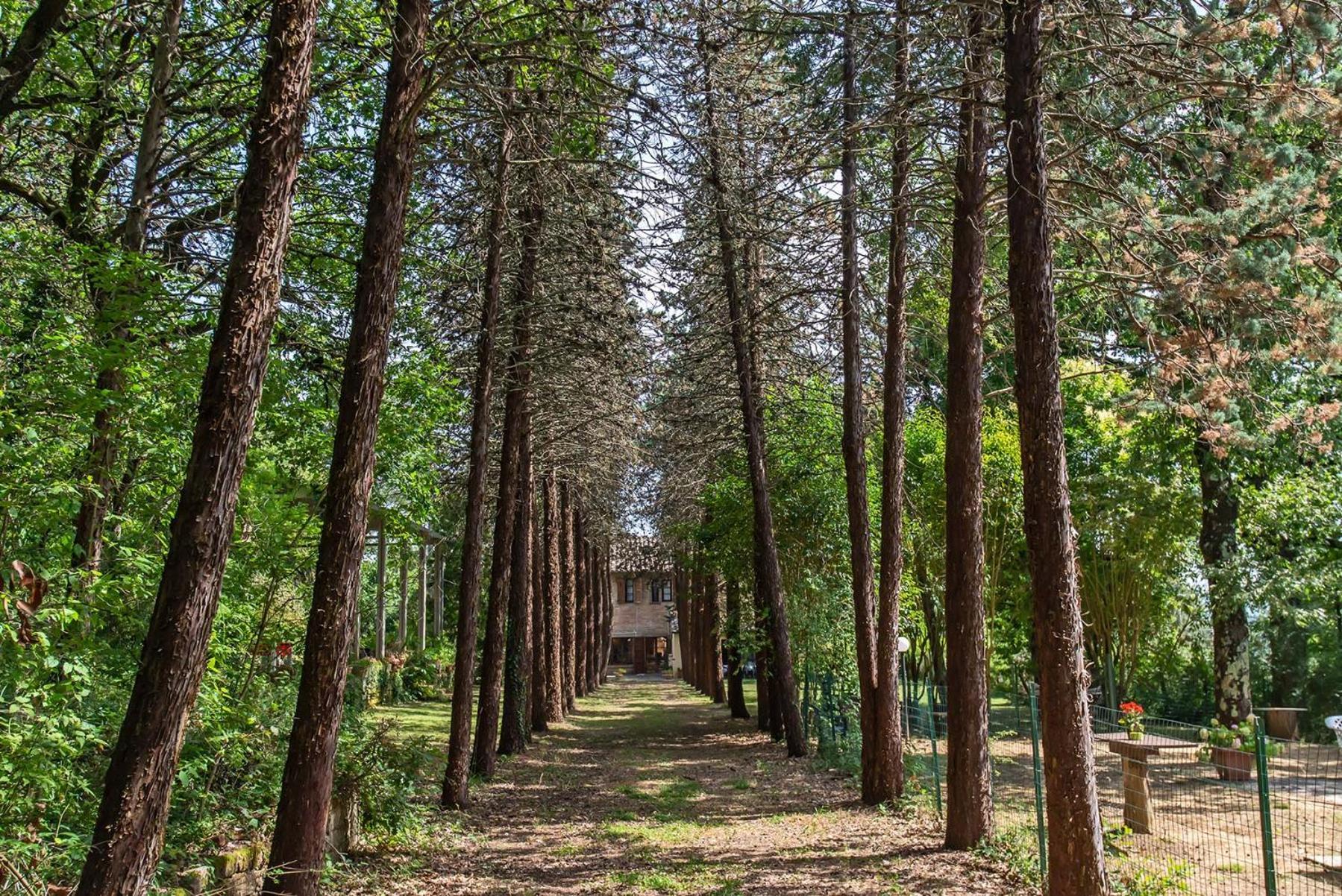 Agriturismo Villa Alari Cetona Bagian luar foto